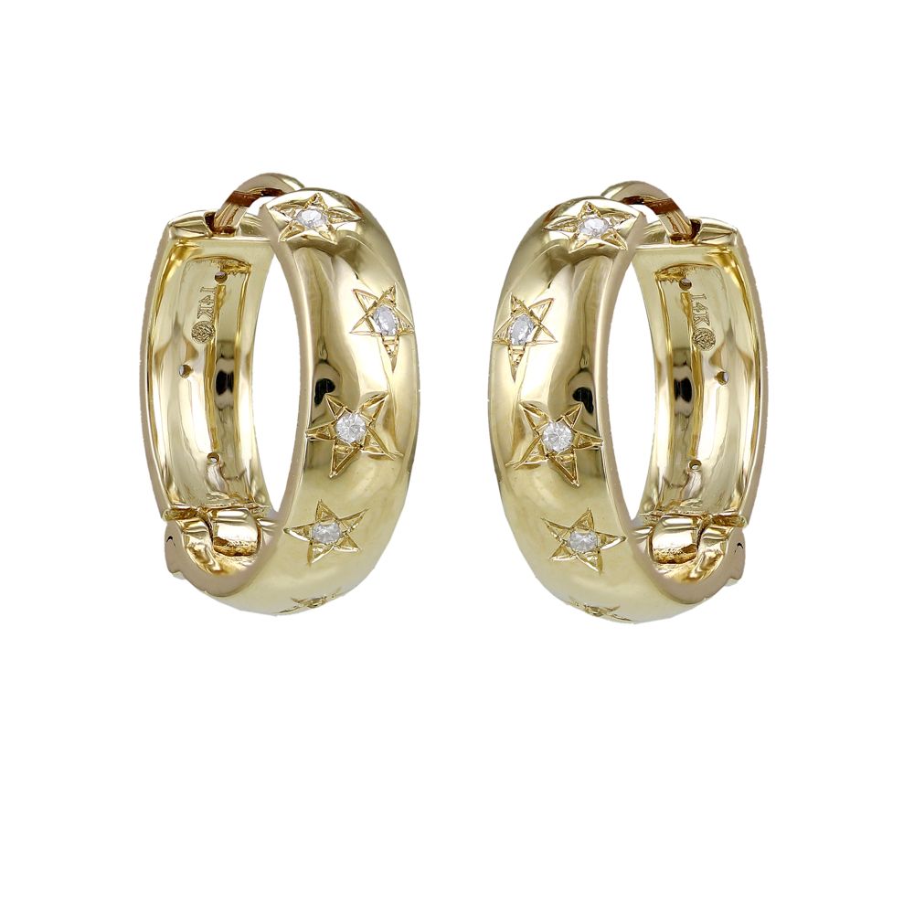 Hoop Star Inlayed Earrings