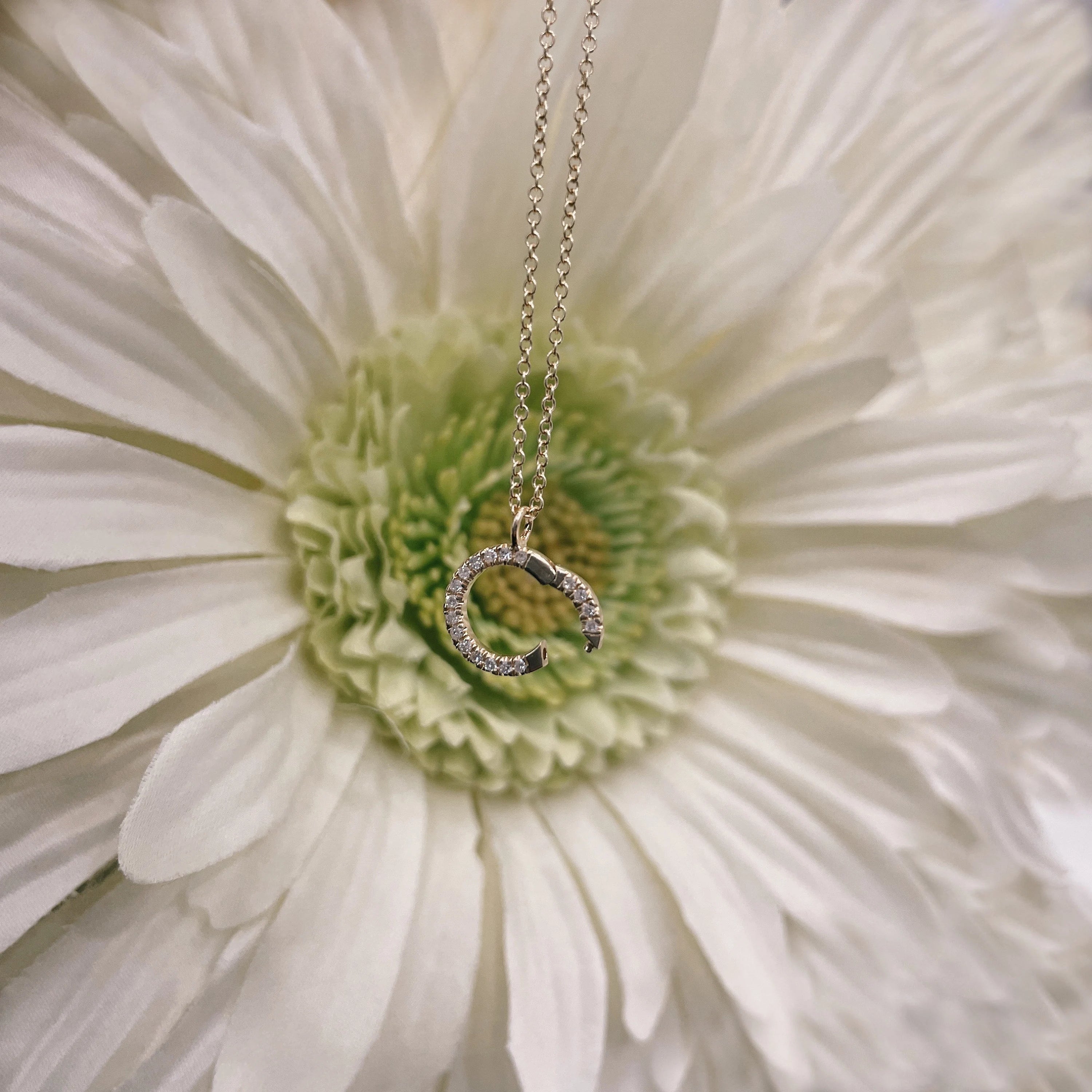 Diamond Clickable Circle Pendant Necklace