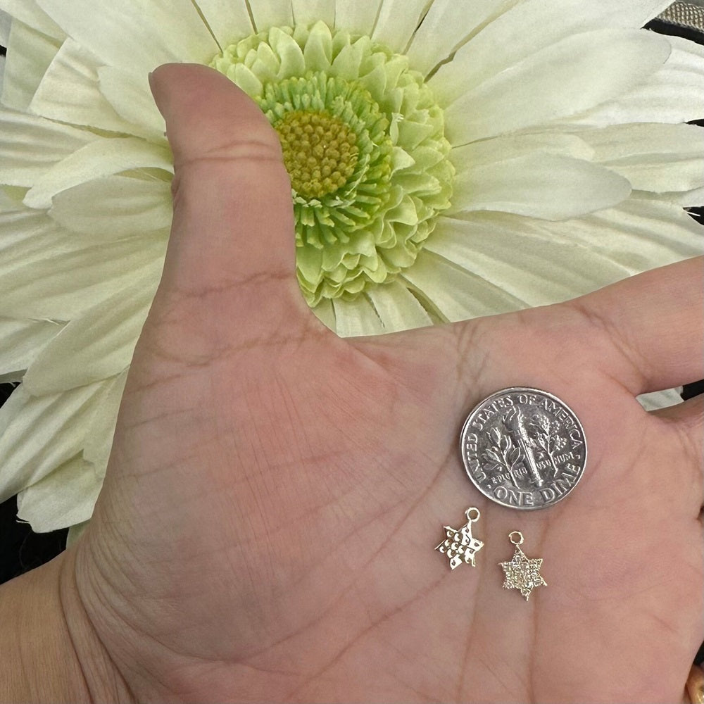 Diamond Star Charm