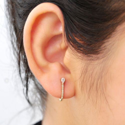 Hook Earrings